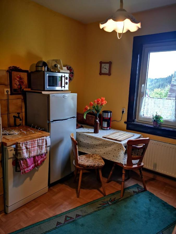 Gehlberger Landhaus Am Schneekopf / Ferienwohnung Suhl Exterior photo